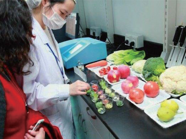 有機蔬菜配送：新鮮、健康、直送到家